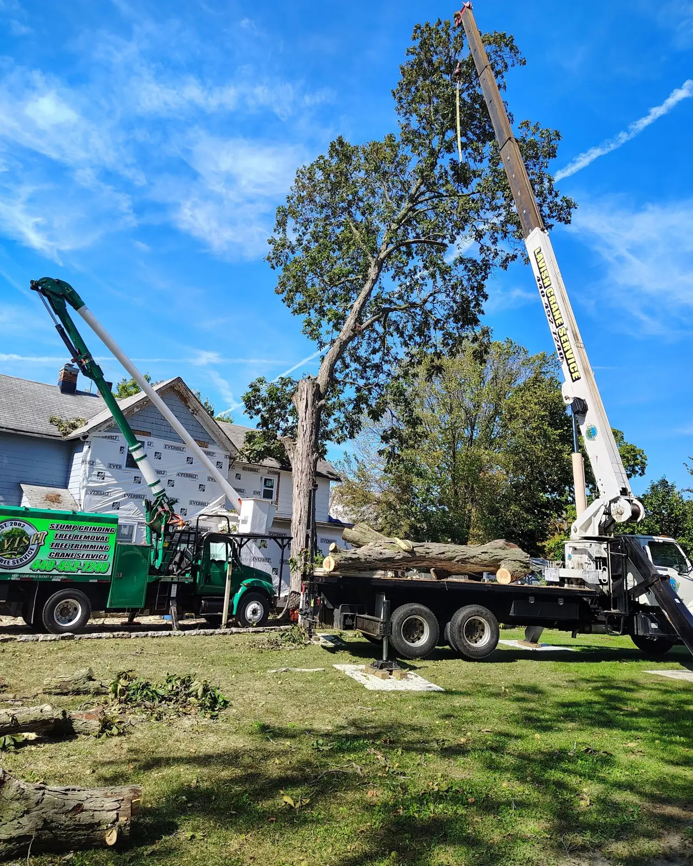Lavish crew using a crane to lift a large leafy tree section at a residential property