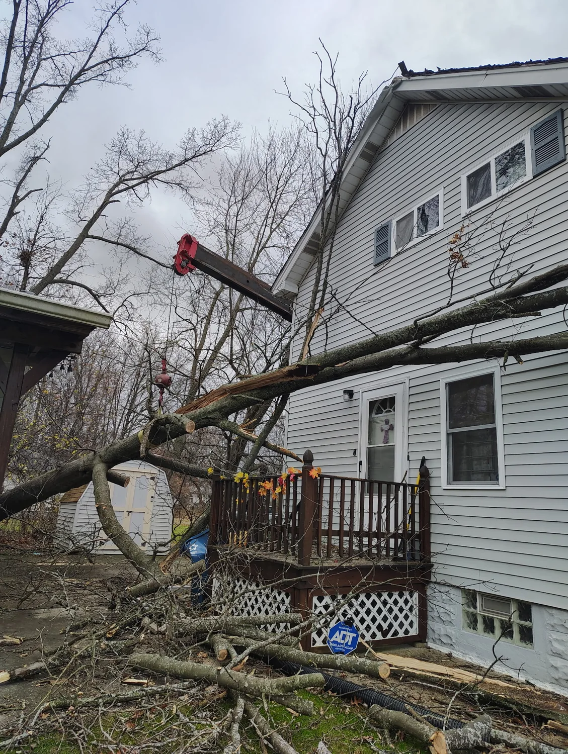 A fallen tree beside a home with Lavish equipment on site